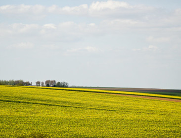 Hogan identificeert 3 prioriteiten voor nieuw GLB