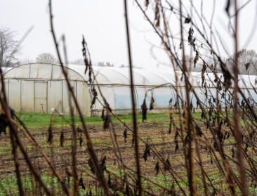 Ngo’s dagen België voor de rechter vanwege "illegale toelating" van risicovolle gewasbescherming