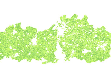 Jager krijgt vier maanden cel voor vals jachtterrein