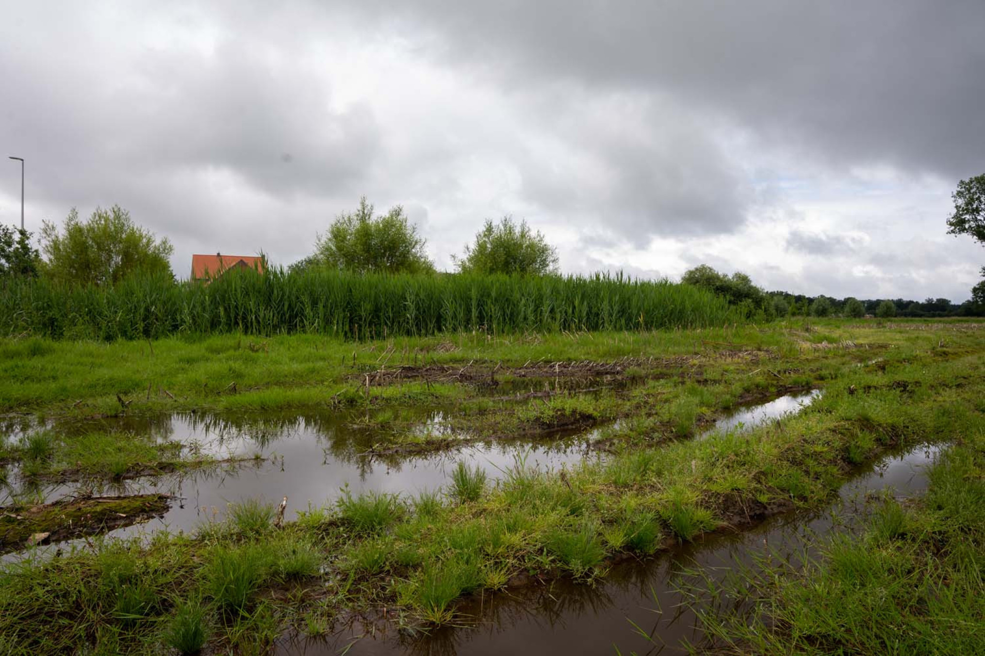 Blank staande akkers aan Kleine Laak