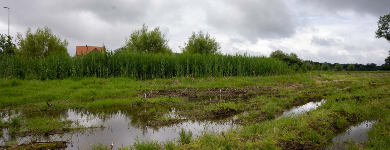 Blank staande akkers aan Kleine Laak
