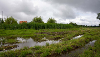 ABS: “Grachten niet blind dempen, maar beter onderhouden”