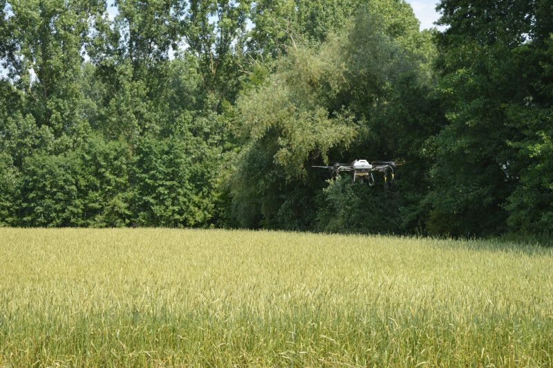 inoculanten drone graan