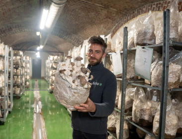 Stadslandbouw: Paddenstoelen uit hartje Brussel van oud brood