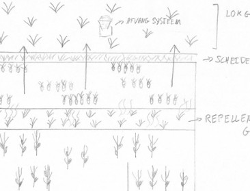 Studenten Thomas More selecteren zich voor Agri Summit