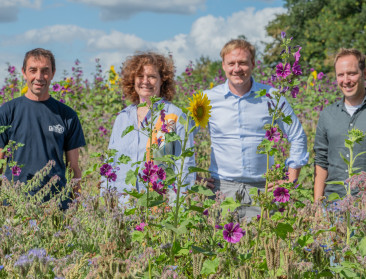 Stad Kortrijk sponsort agro-ecologische stroken bij landbouwers