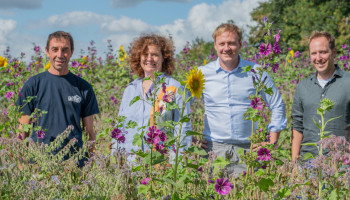 Stad Kortrijk sponsort agro-ecologische stroken bij landbouwers