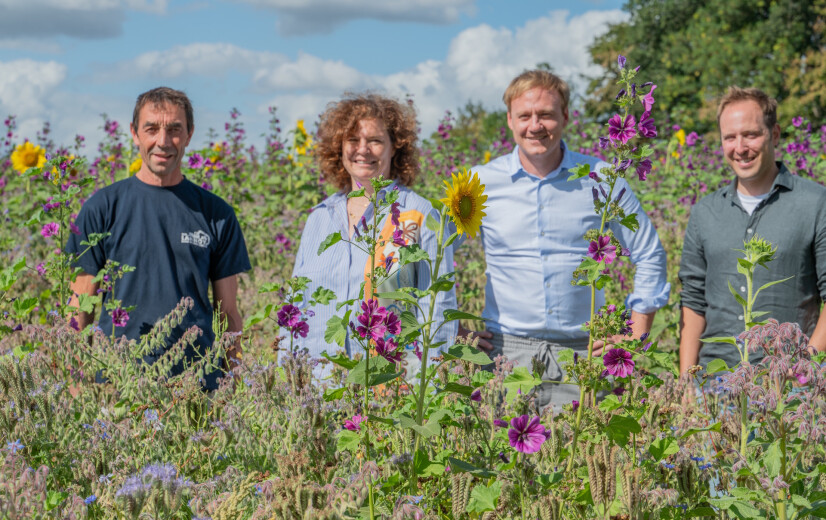 Stad Kortrijk sponsort agro-ecologische stroken bij landbouwers