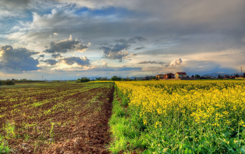 Arvesta wil koolstoflandbouw uitbreiden naar 10.000 hectare in 2023