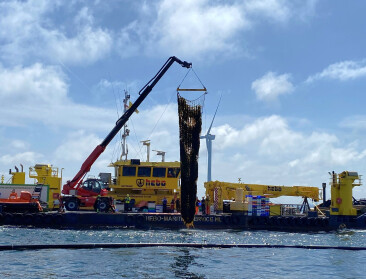 Eerste commerciële oogst van zeewier is een feit