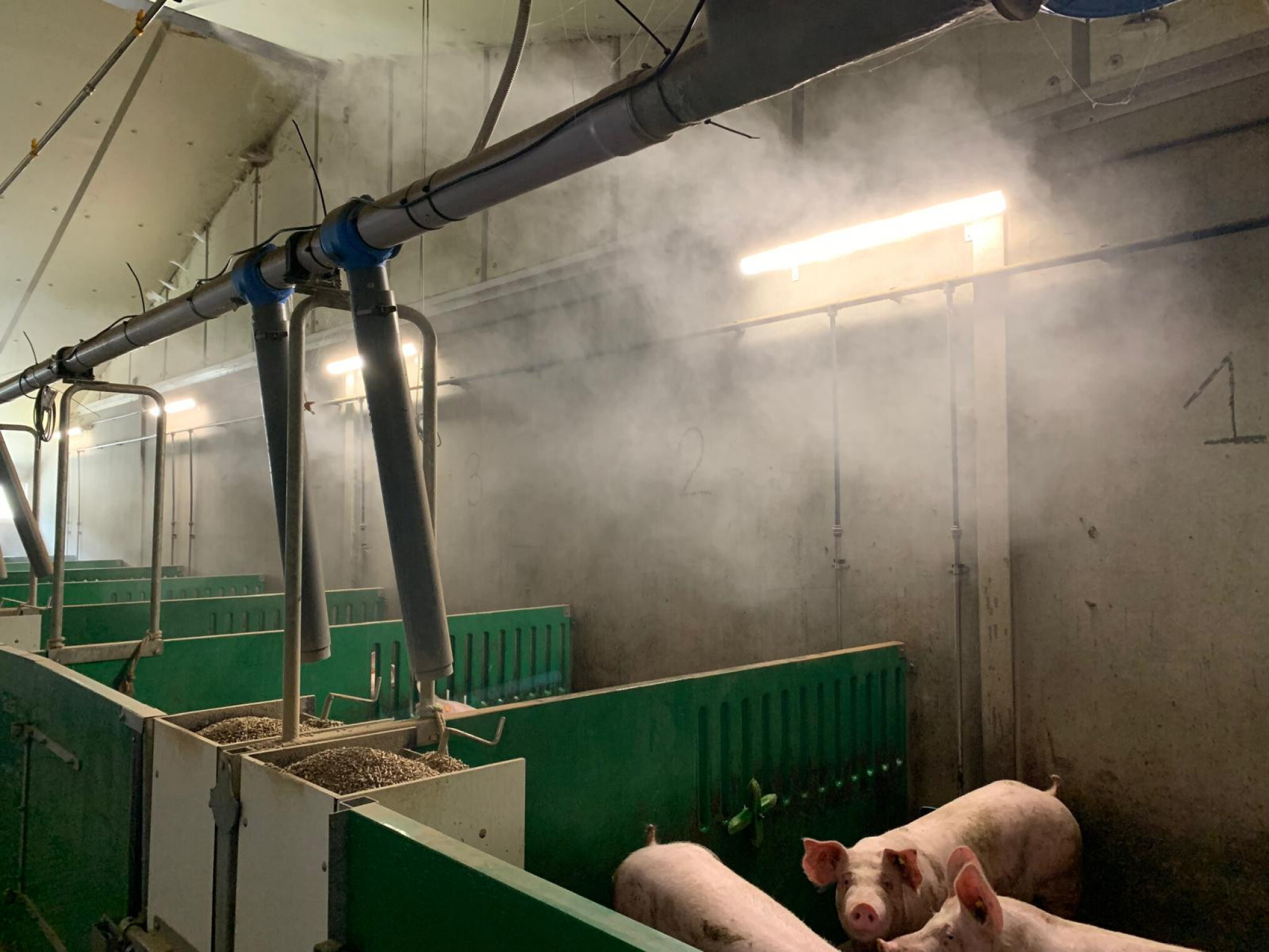 vernevelsysteem foto 2 (sproeikop niet zichtbaar)