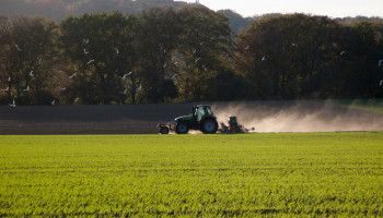 Minder veehouders, meer braakland: landbouw evolueert verder in 2024