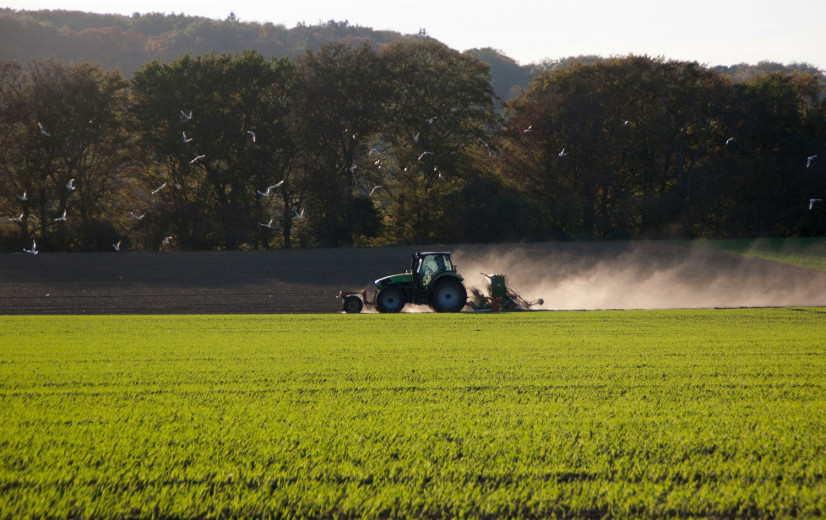 Minder veehouders, meer braakland: landbouw evolueert verder in 2024