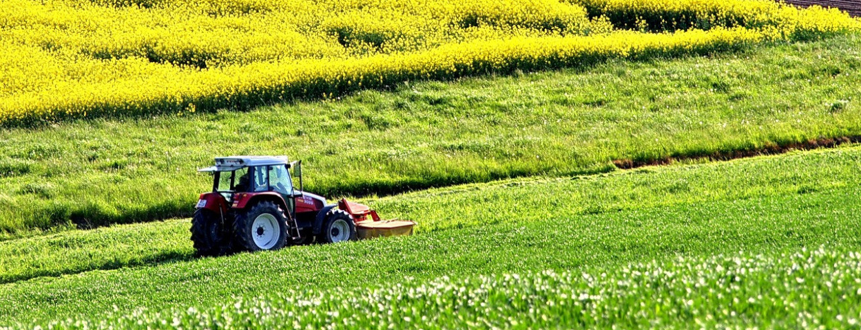 koolzaadveldtractor