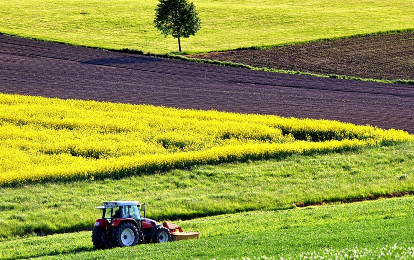 Partijprogramma's uitgespit: toekomstmodel van de landbouw