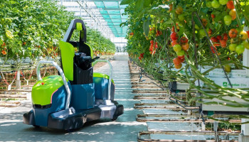 Nederlands-Belgische joint venture ziet volop kansen voor robots in de tuinbouw