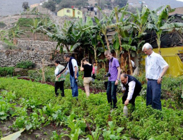 Belgische veilingen delen expertise met boeren in Peru