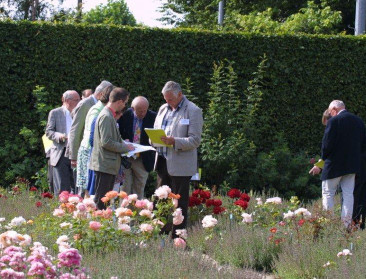 53ste internationale rozenkeuring in Kortrijk