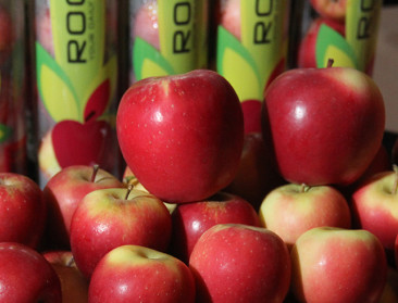 Belgische Rockit-appels vinden weg naar Verre Oosten