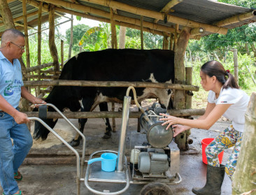 Filipino's willen meer zelfvoorzienend worden in melk