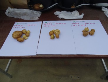 Eerste aardappelrassen voor teelt op Mars onderweg
