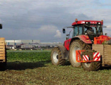 Aandeel landbouw in Belgische economie zakt verder weg
