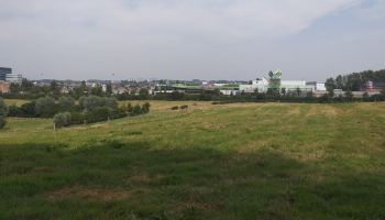 Landbouw en wonen hand in hand in laatste open ruimte van Brussel