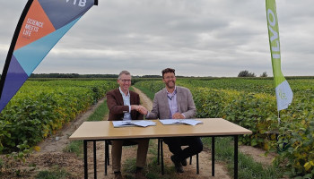 Doorbraak van soja komt steeds dichterbij: "Samenwerking tussen ILVO en VIB loont"