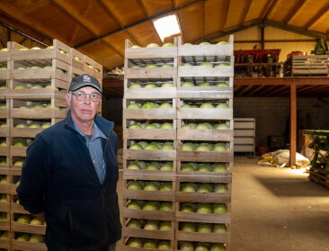 Komt  redding voor telers van witte kool uit Zuid-Europa?