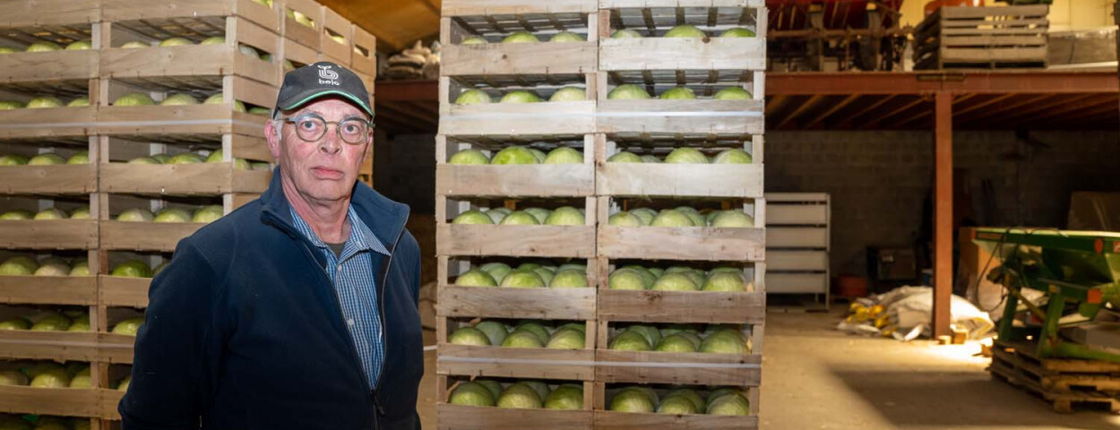 Witte koolteler Dirk Cardoen