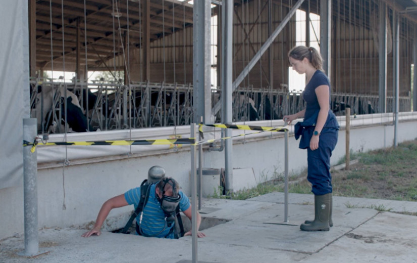 Kempense landbouwer dood na het inademen van mestgassen, geval staat helaas niet op zich
