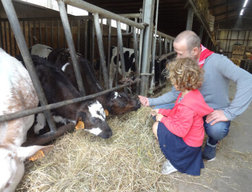Oost-Vlaanderen zoekt bezoekboerderijen voor klassen en groepen