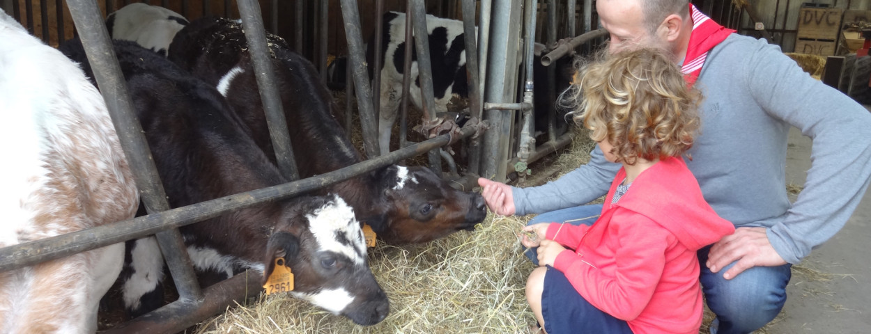 Bezoekboerderij_ProvincieOostVlaanderen