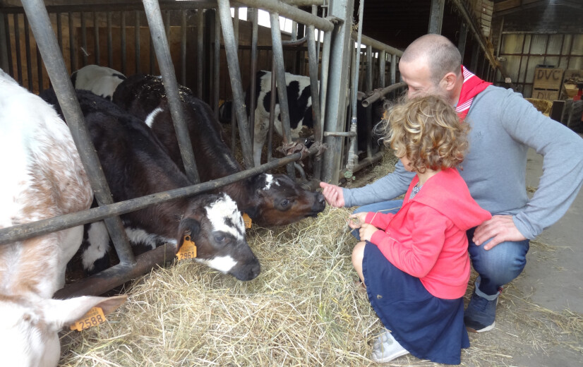 Oost-Vlaanderen zoekt bezoekboerderijen voor klassen en groepen