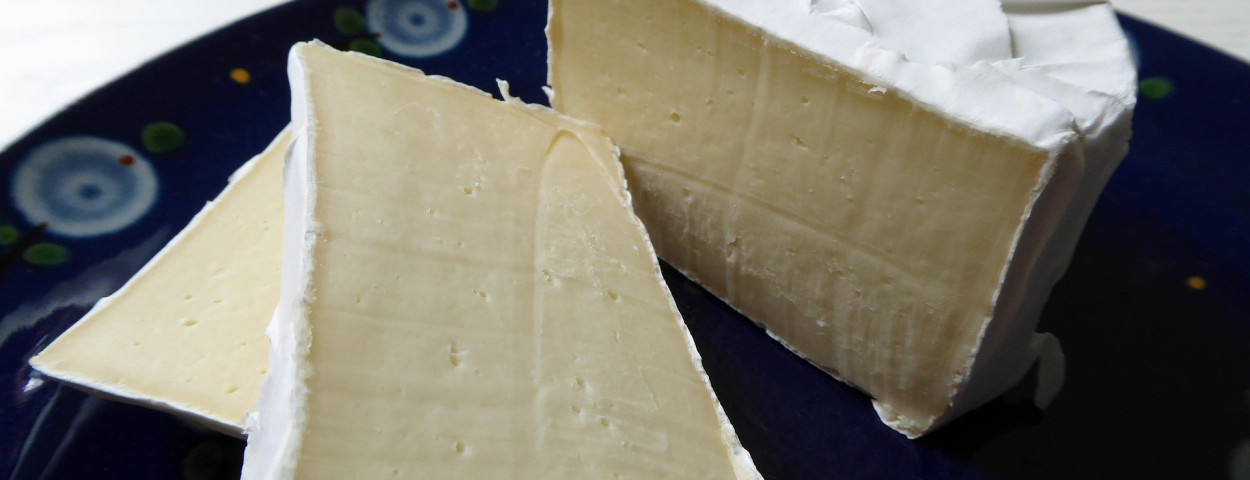 soft-cheese-822350_1920