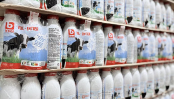 Inex en Colruyt Group willen samen met boeren Boni-melkproducten verduurzamen
