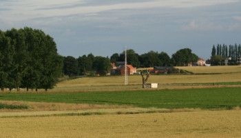 Fermettisering onder vuur: Landbouworganisaties pleiten voor coherenter kader voor vrijgekomen hoeves