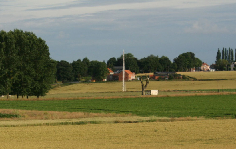 Fermettisering onder vuur: landbouworganisaties pleiten voor coherenter kader voor vrijgekomen hoeves