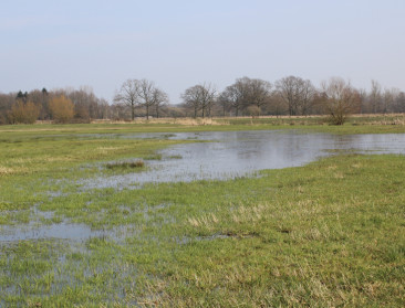 75 miljoen euro voor ‘Blue Deal’ tegen droogte