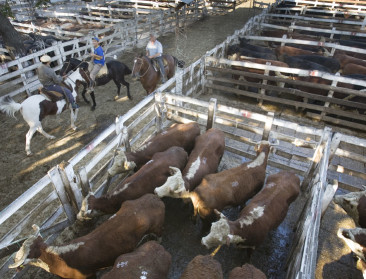 Parijs zaait twijfel over ratificering Mercosur akkoord