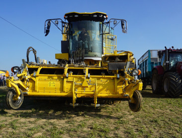 Suikerbietentelers staan voor postquotum-doemscenario