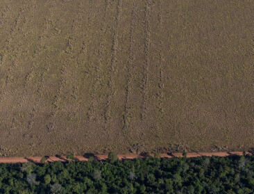 Greenpeace vraagt verwerping Mercosur in witwasrapport illegale veeteelt