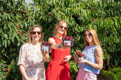 Influencers bij kersen Hoogstraten