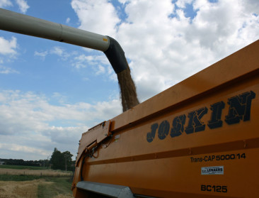 Oost-Europese landen vragen maatregelen tegen graanimport uit Oekraïne