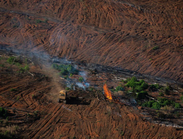Laagste ontbossingcijfers in Amazonewoud van afgelopen zes jaar