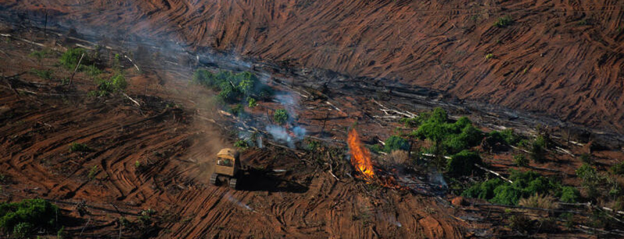 ontbossingamazoneregenwoudbrazilie-Greenpeace
