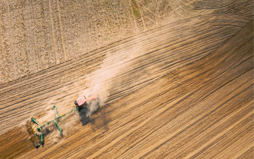Experts lichten verborgen kost uit ecologische landbouw: "Kijk naar milieu-impact per product, niet per hectare"