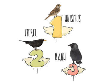 Natuurpunt telt minder vogels in Vlaamse tuinen