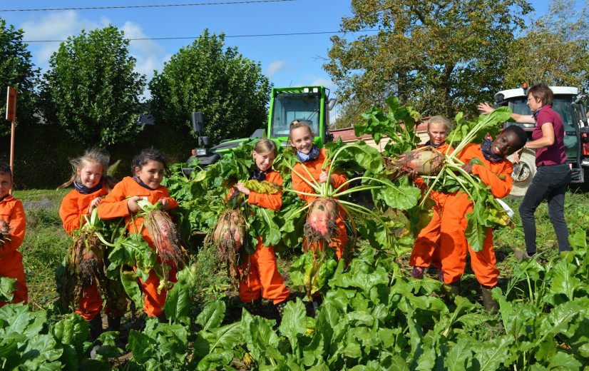 Schoolkinderen op boerderijonderwijs: “Na afloop willen ze allemaal boer of boerin worden”