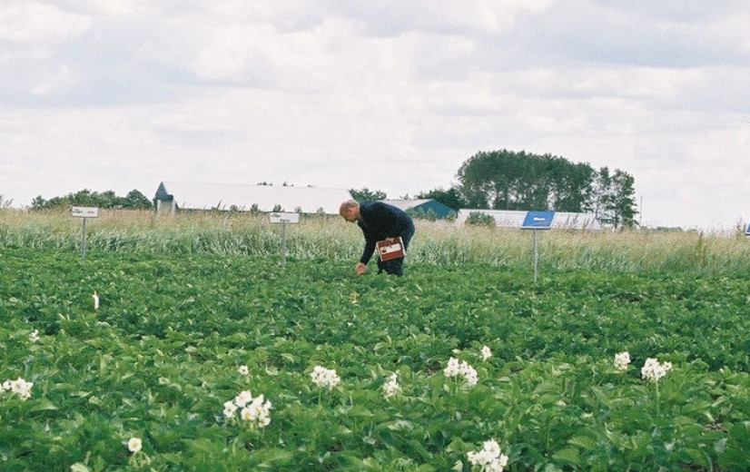 “Meer bio in EU kan leiden tot minder duurzaam voedselsysteem op wereldniveau”